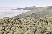 The Ajcanacu pass at 3739 m the last Andean pass that marks the entrance to the National Park of Manu 